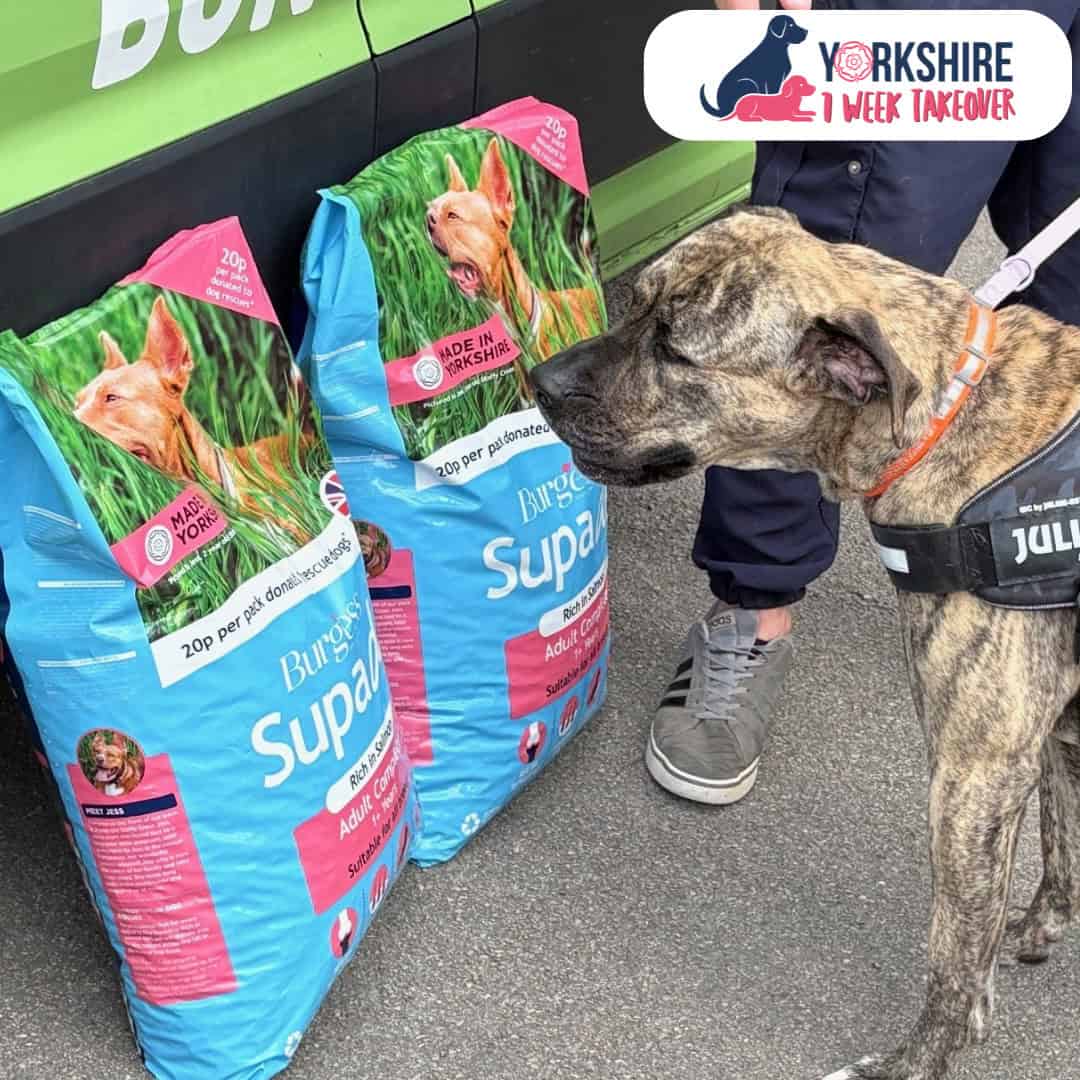 campaign yorkshire takeover (1)