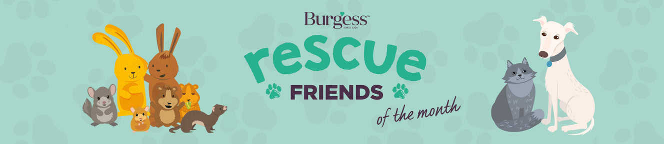 website rescue friends banner (4)