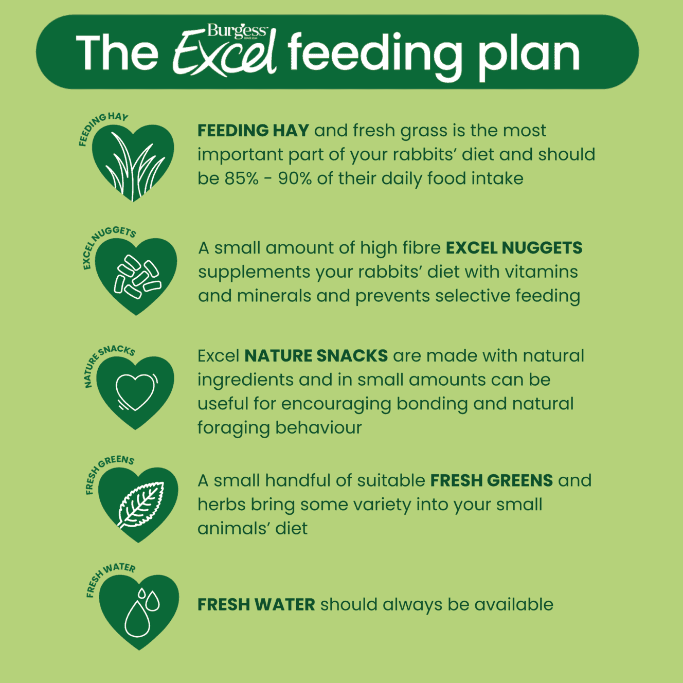 excel feeding plan