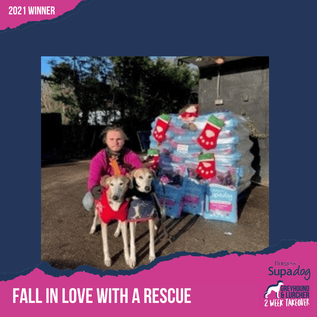 fall in love with a rescue