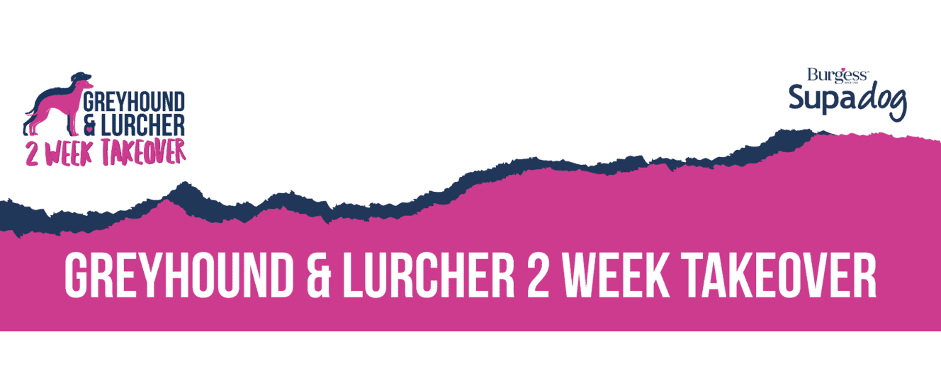 g&l 2 week takeover v2