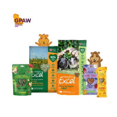 Product image for Excel GPAW 2024 Bundle