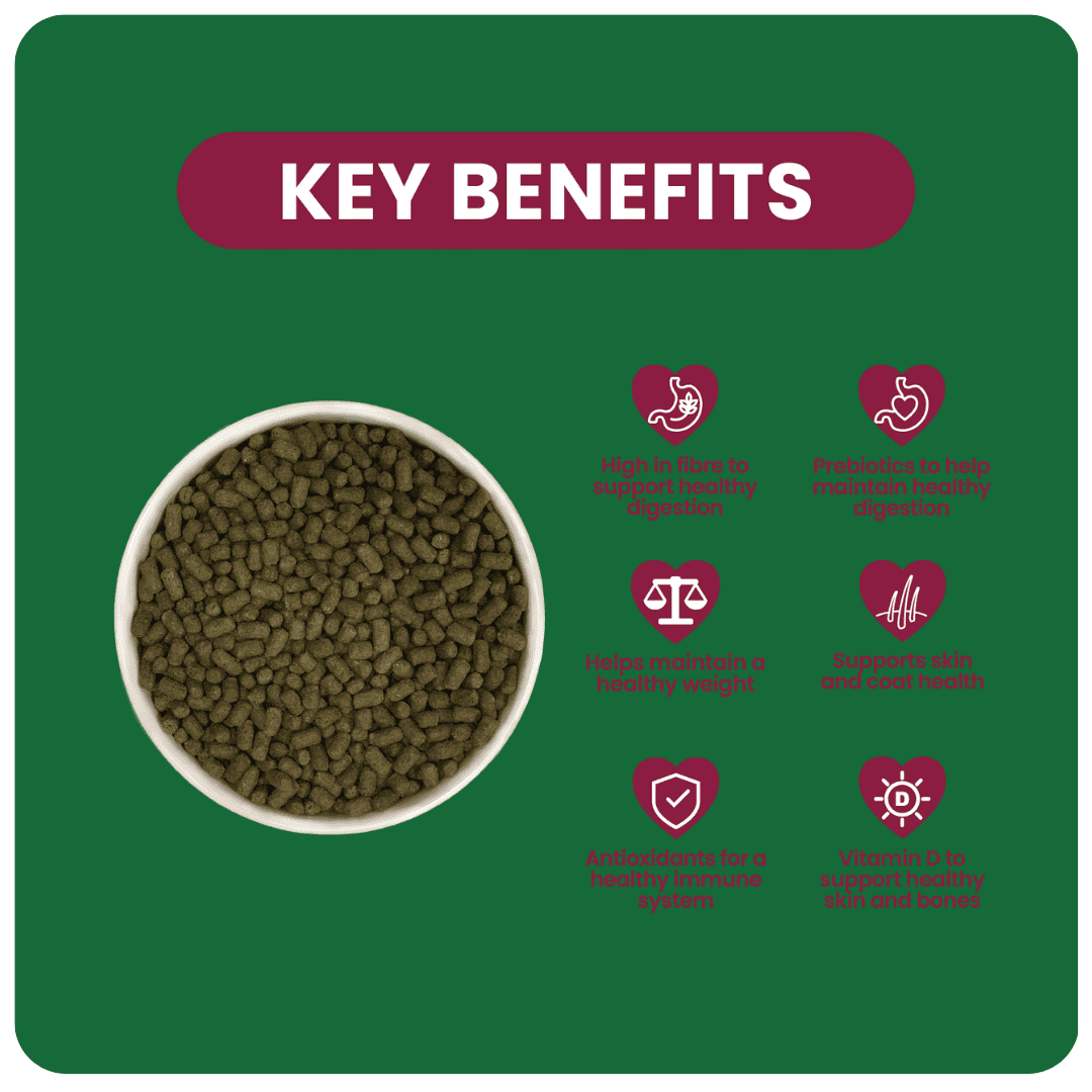 Excel Indoor Guinea Pig Nugget and Dandelion & Marigold Hay Bundle product image