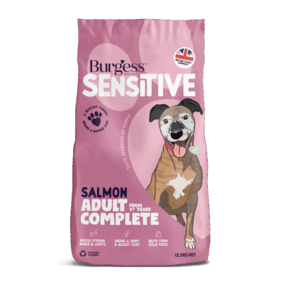 Product image for Sensitive Adult Dog Salmon