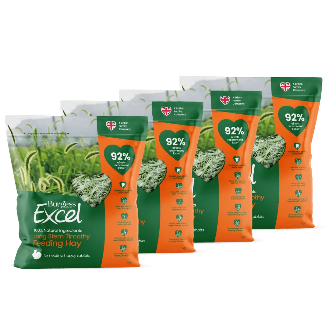 4kg Long Stem Hay Bundle product image