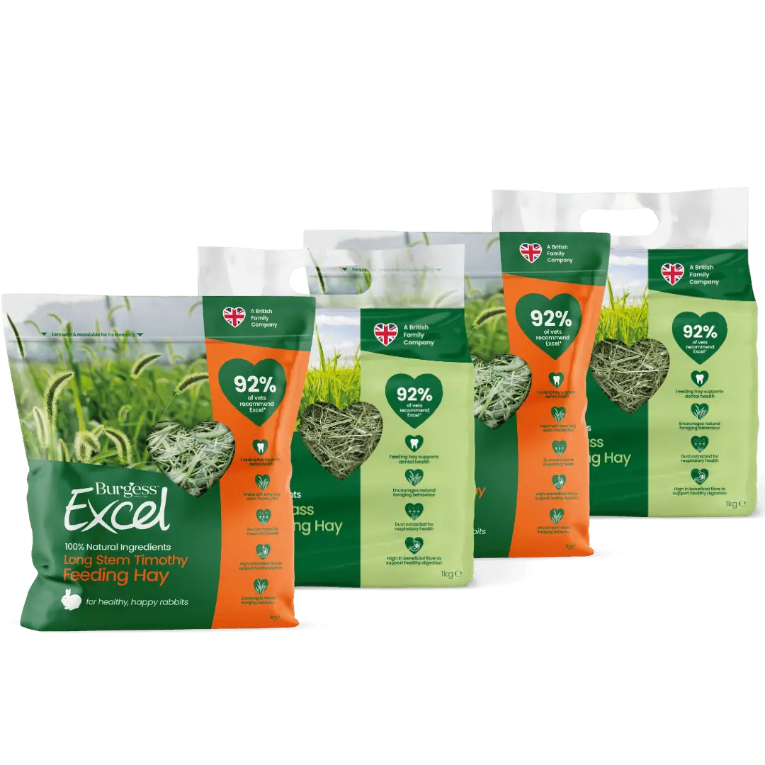 4kg Mixed Hay Bundle product image