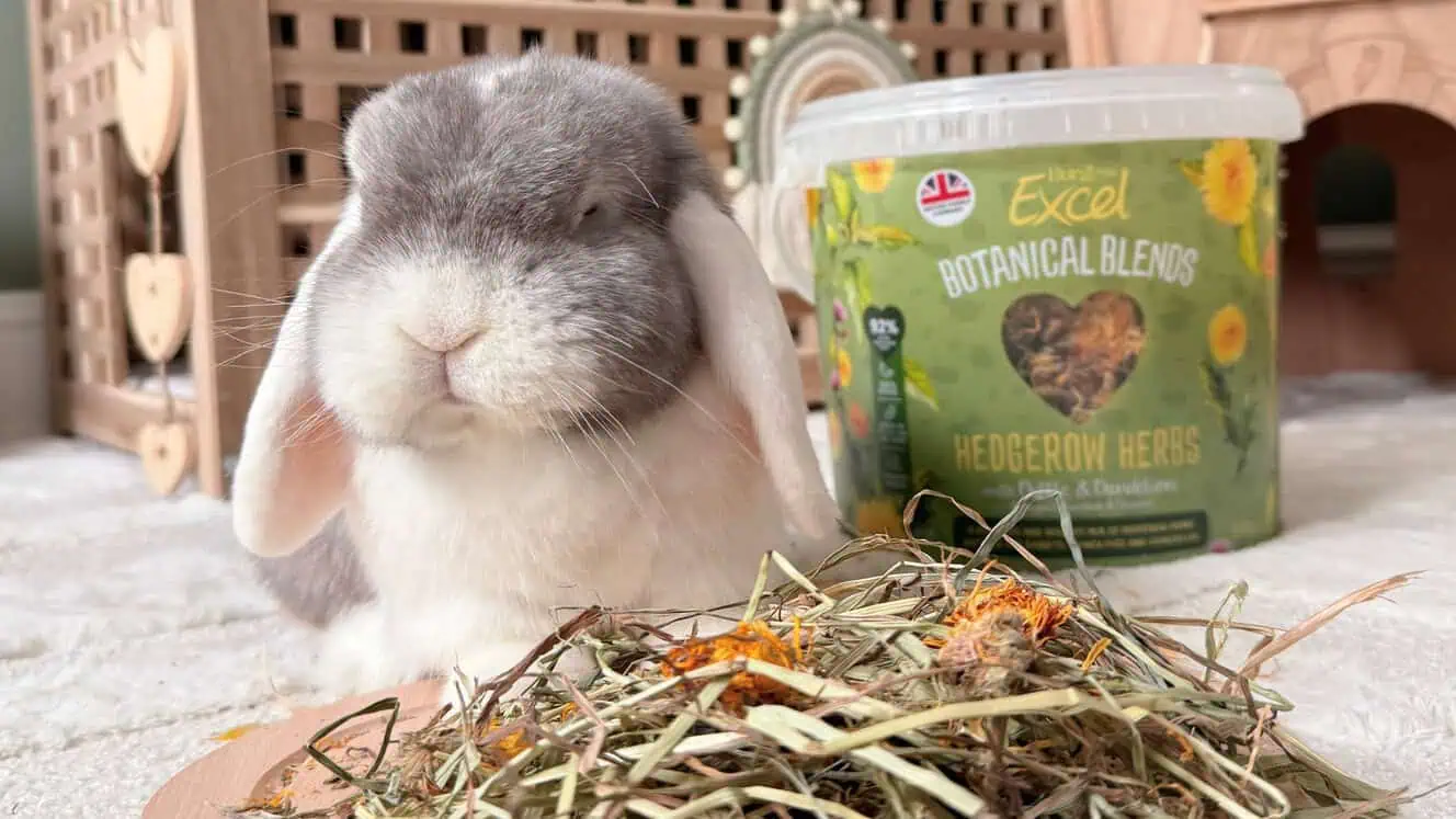 Featured image for A magical mix bursting with natural goodness