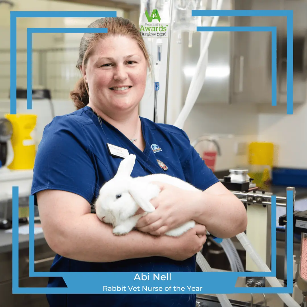 abi nell rabbit vet nurse of the year
