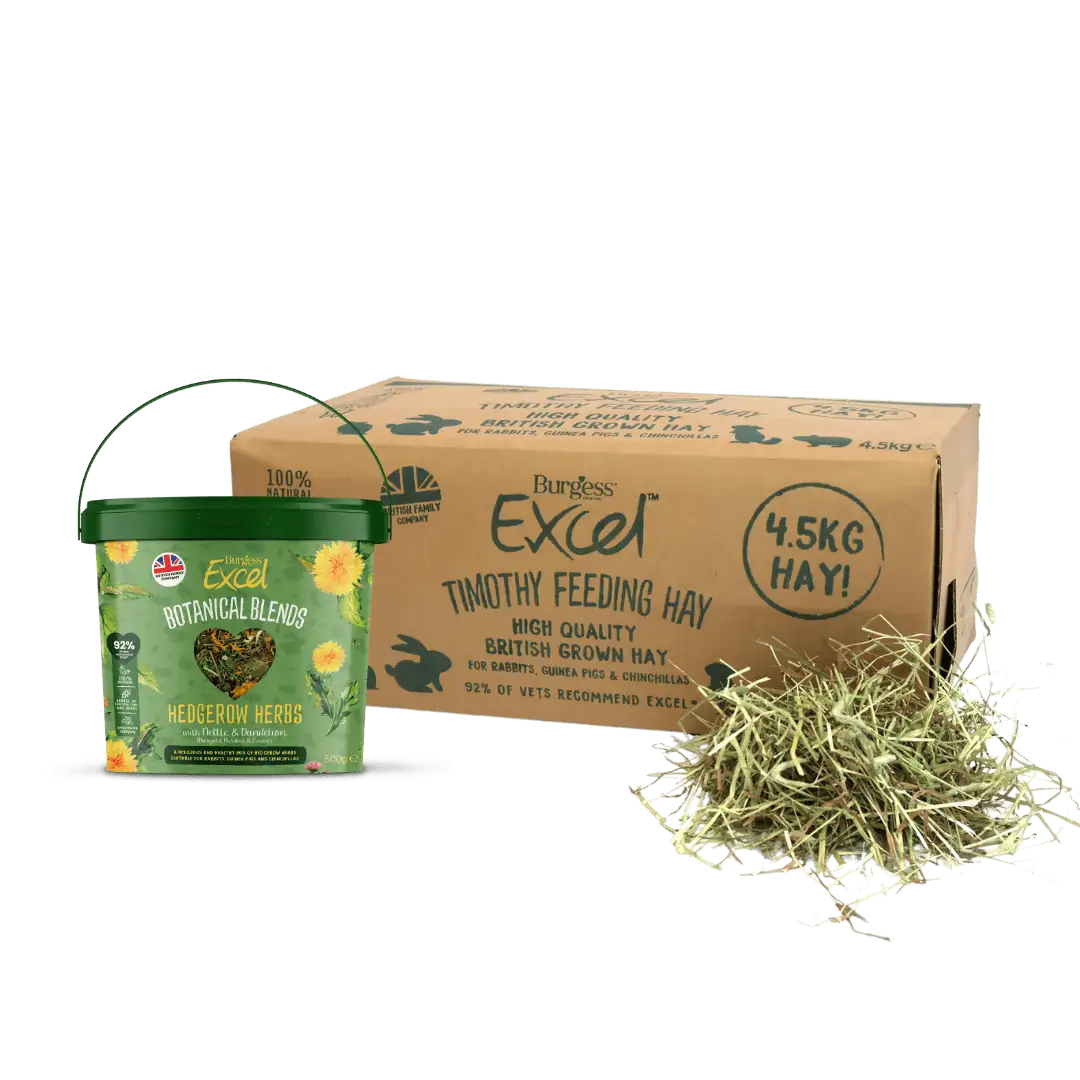 Forage and Timothy Hay Bundle product image