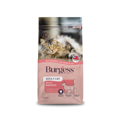 Product image for Adult Cat Rich in Salmon