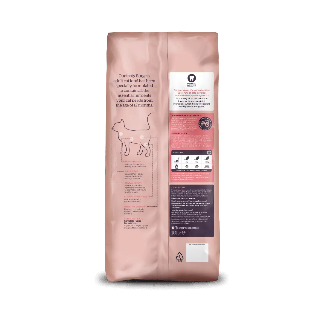 Adult Cat Rich in Salmon product image