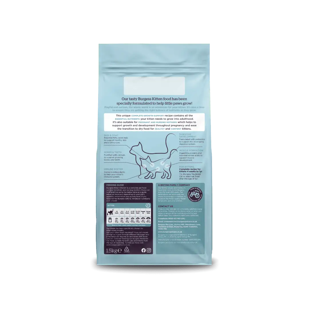 Kitten Chicken product image