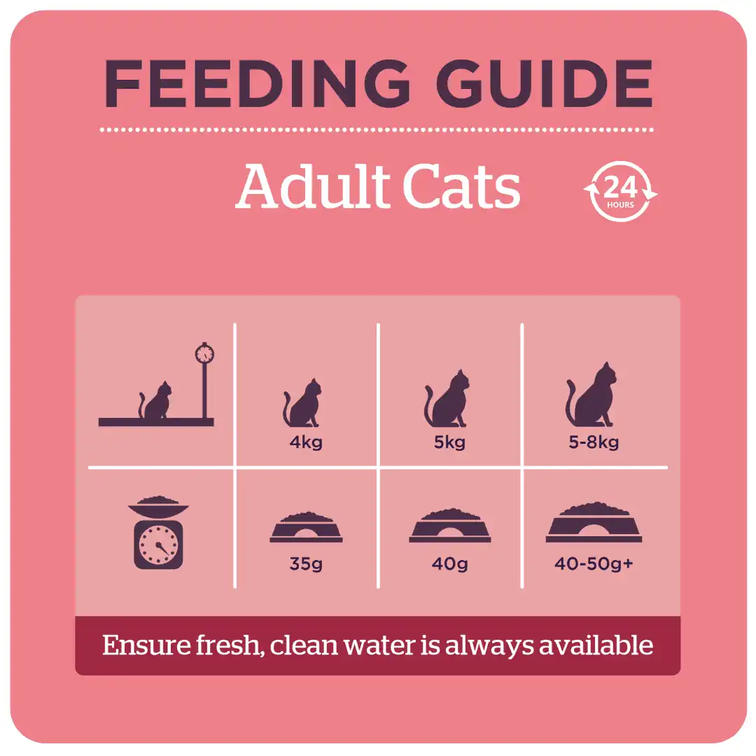 Burgess Mature Cat with Turkey & Cranberry product image