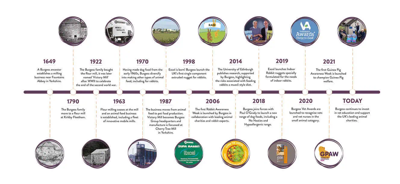 burgess timeline new 02