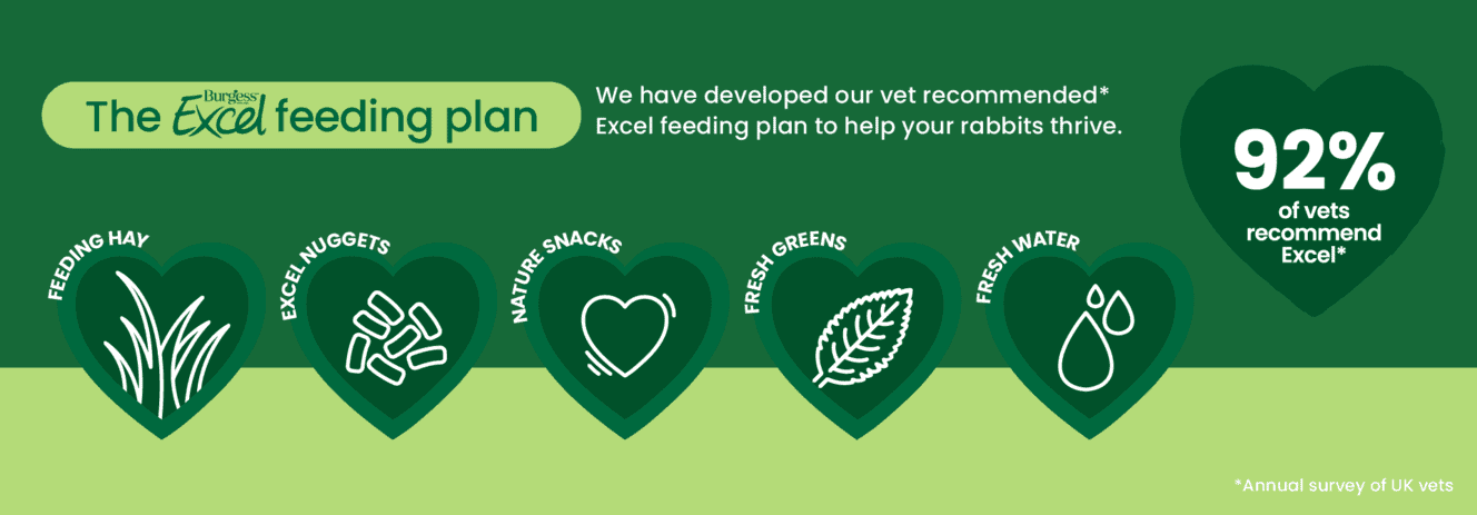 Excel Indoor Rabbit Nugget and Dandelion & Marigold Hay Bundle