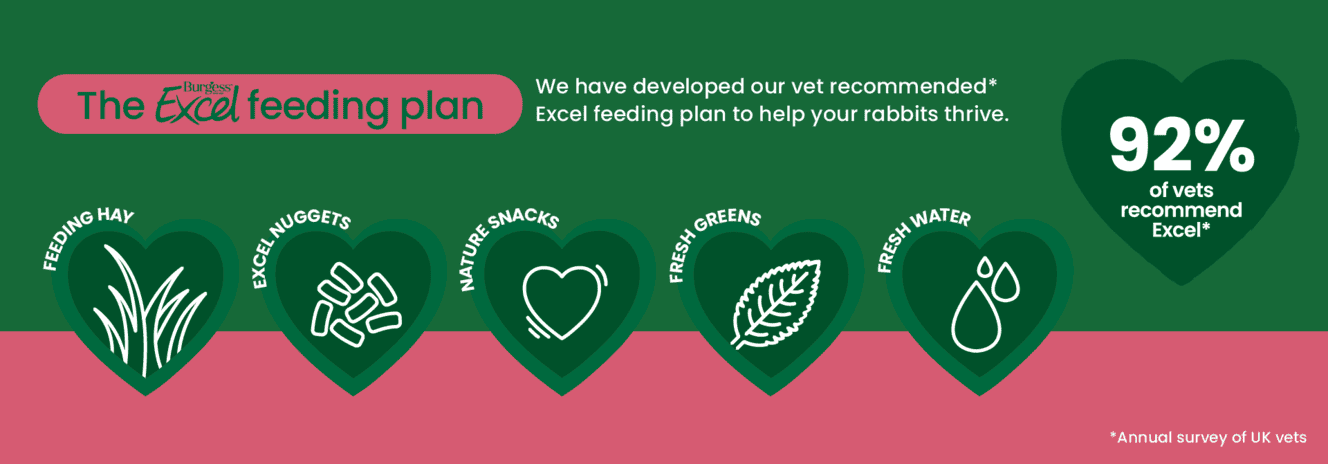 Excel Mature Rabbit Nuggets