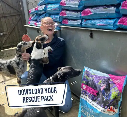 download your rescue pack