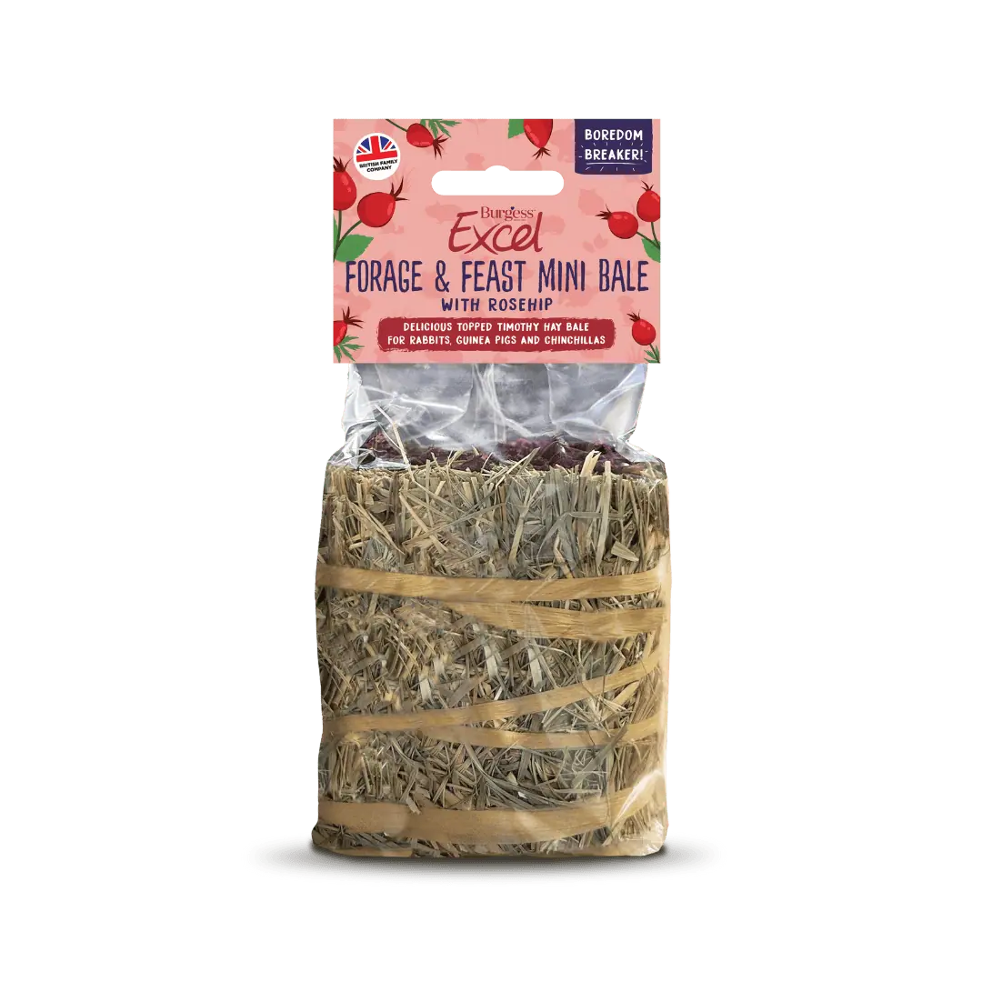 Excel Rose Bundle product image