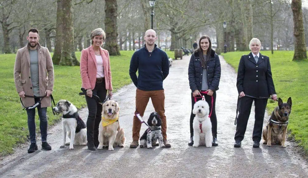 Featured image for Meeting new faces, old friends and canine heroes at Crufts 2020