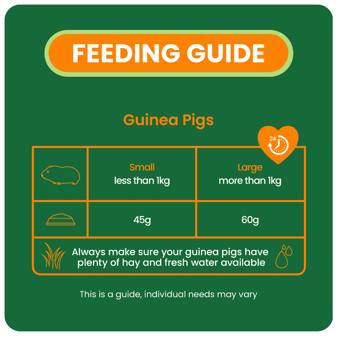 Excel Mature Guinea Pig Nuggets product image