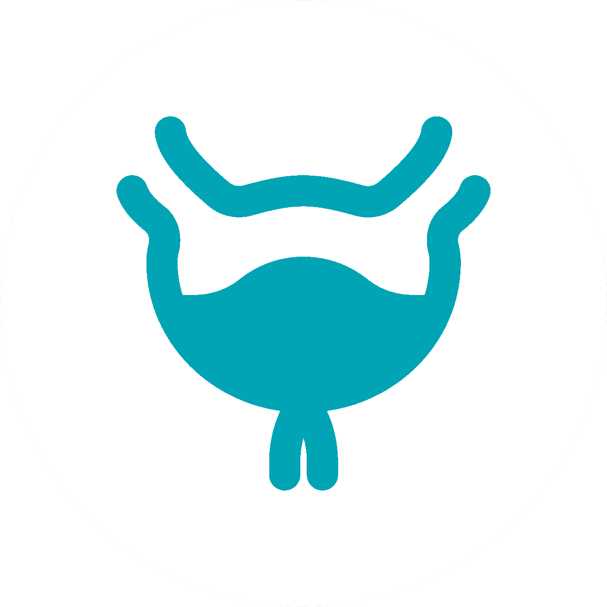 Urinary system health*