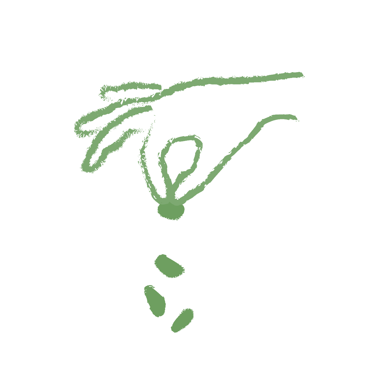 Encourage foraging behaviour