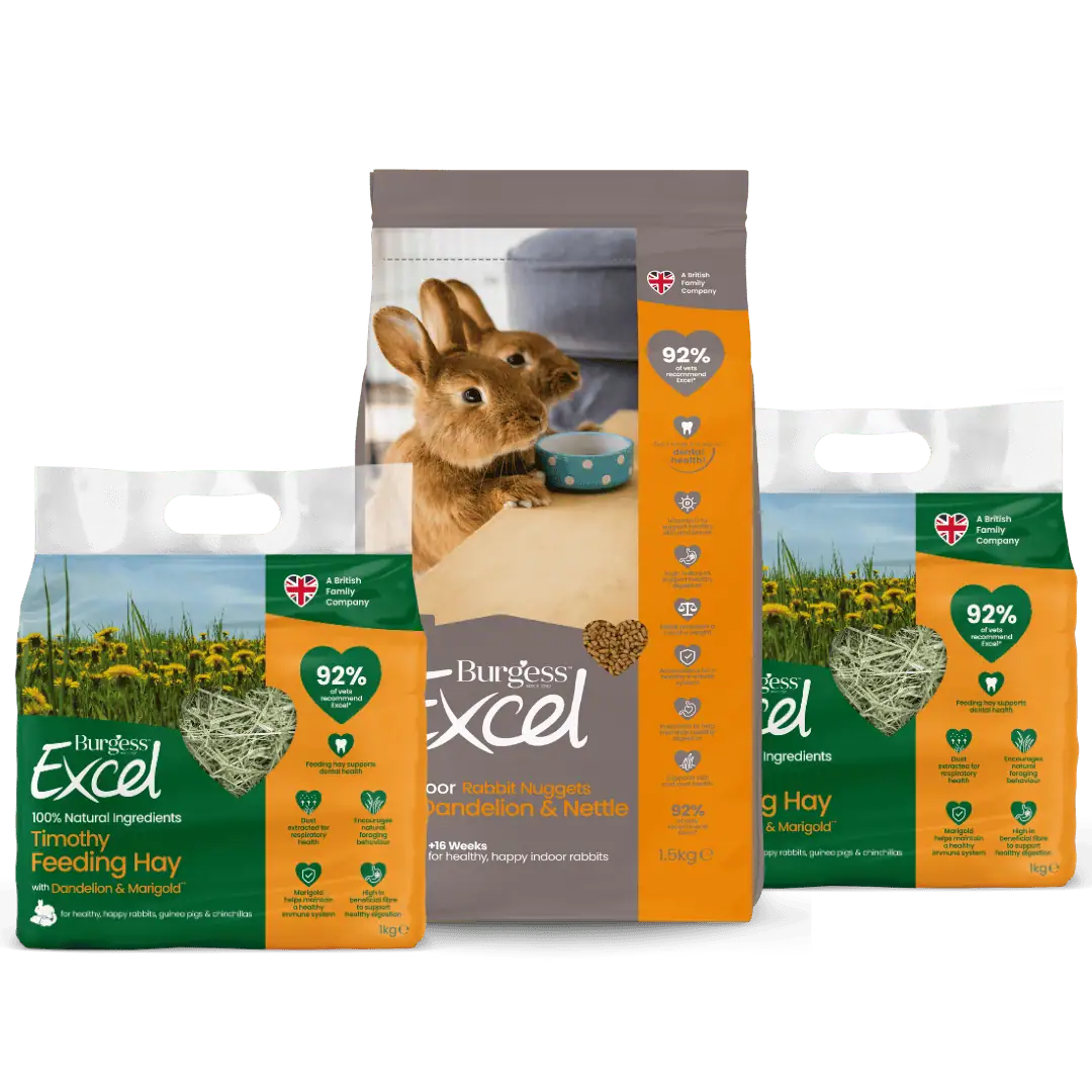 Excel Indoor Rabbit Nugget and Dandelion & Marigold Hay Bundle product image