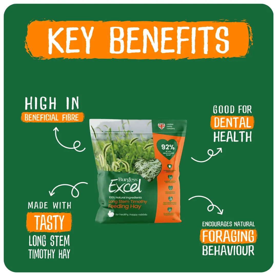 4kg Mixed Hay Bundle product image