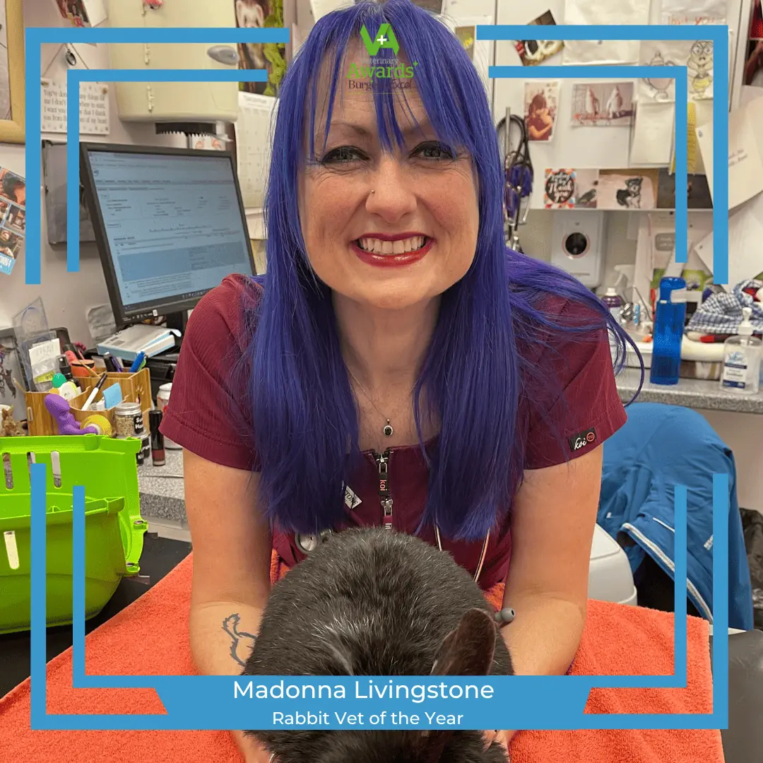madonna livingstone rabbit vet of the year