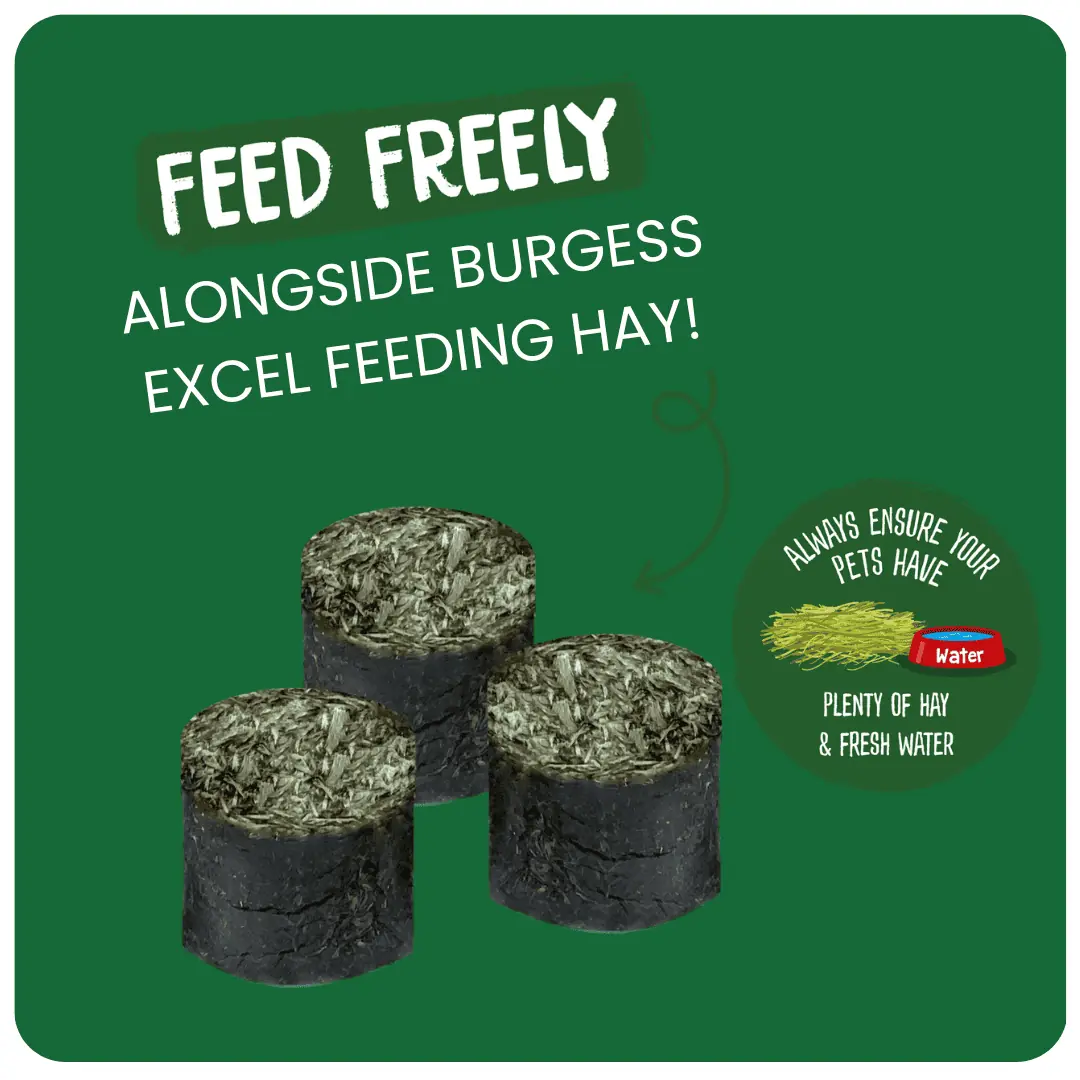 4kg Munchie Hay Bundle product image