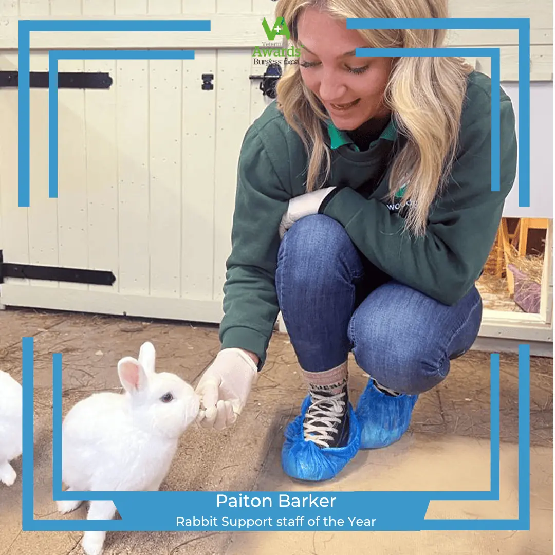 paiton barker rabbit support staff of the year