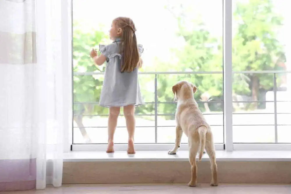 Featured image for 7 great ideas for parents at home with pets and small humans