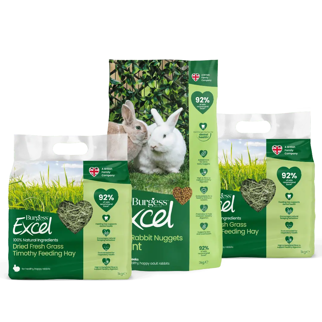 Excel Rabbit Nugget with Mint and Dried Fresh Grass Bundle product image