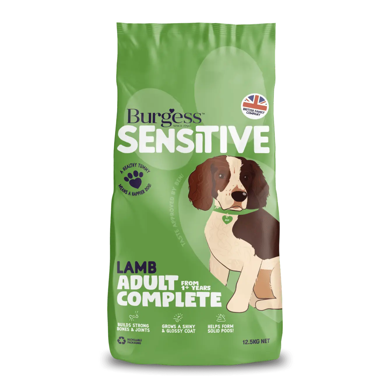 Sensitive Adult Dog Lamb product image