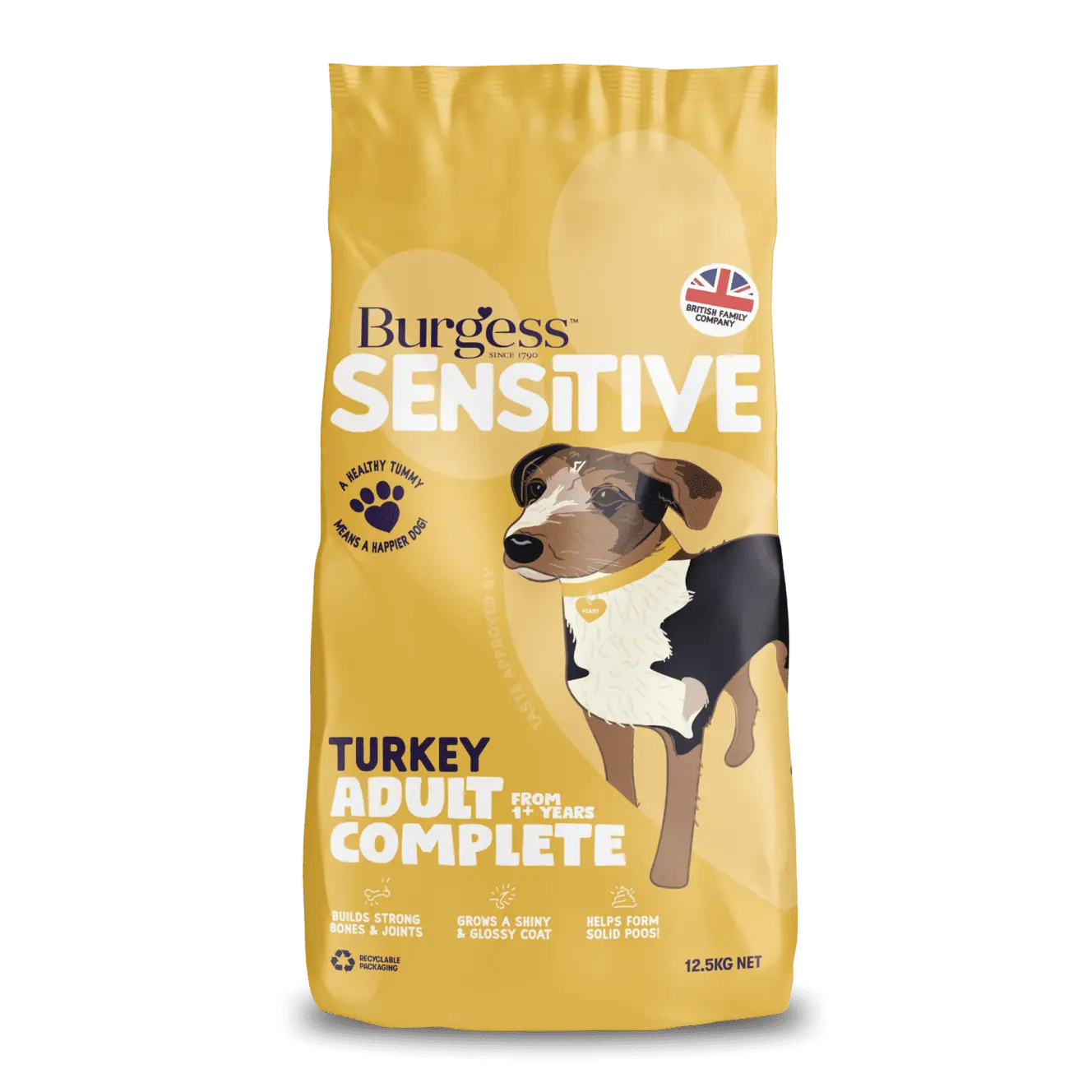 Sensitive Adult Dog Turkey product image