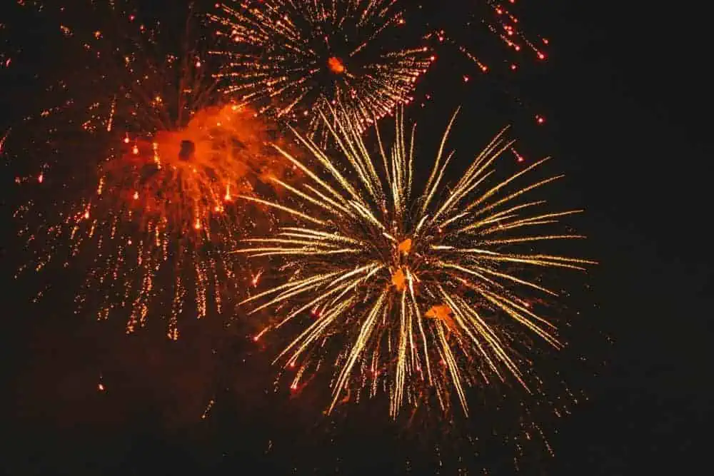 Featured image for 10 top tips for fending off firework frights