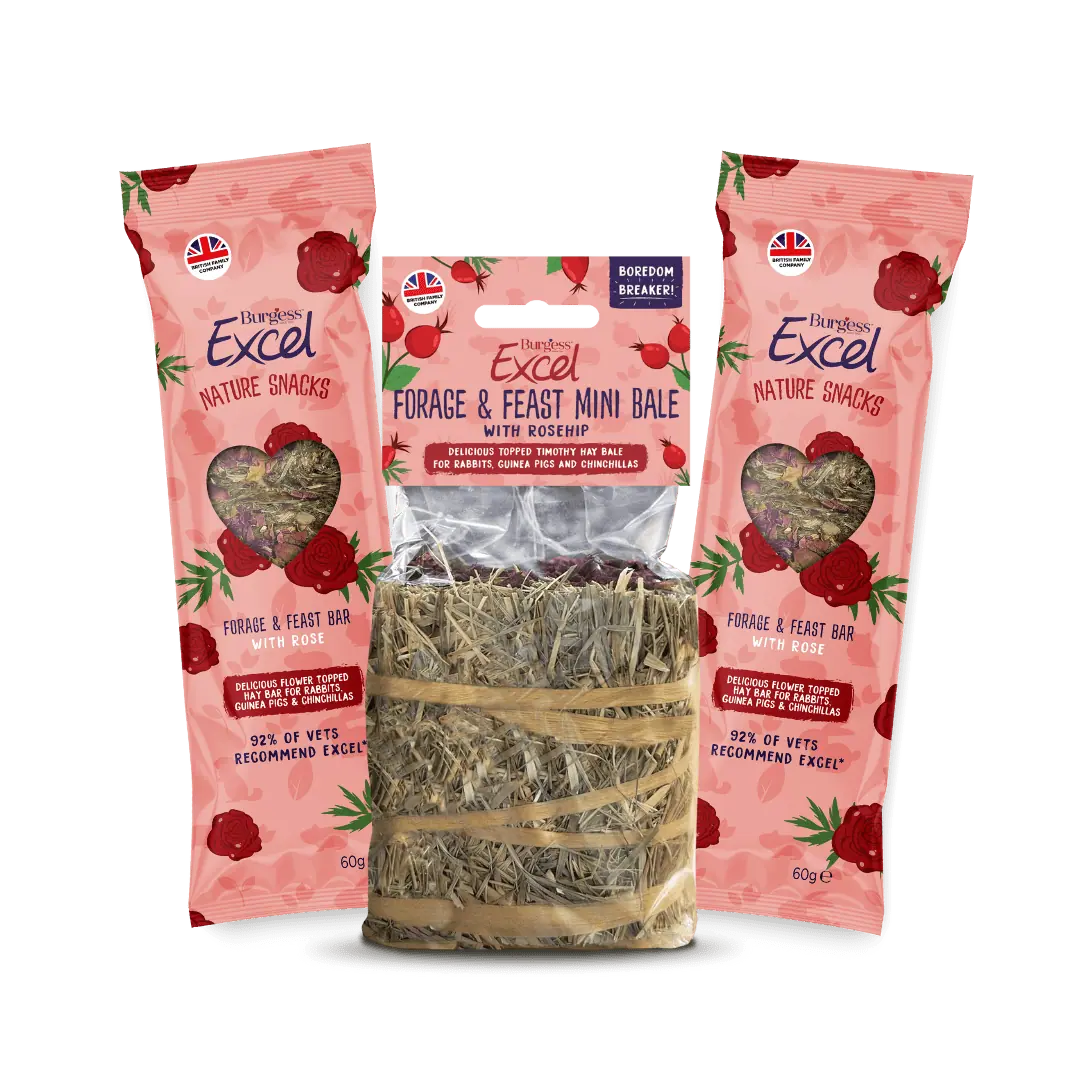 Excel Rose Bundle product image