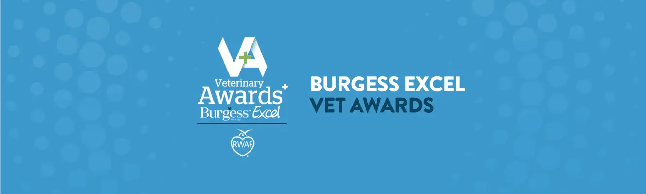vet awards banner 01