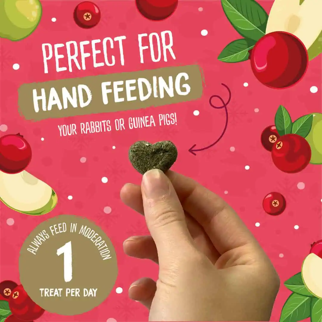 Excel Winter Berry Bakes – LIMITED EDITION product image