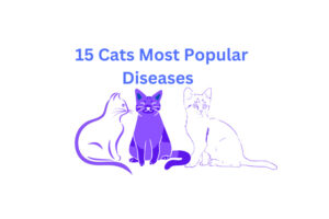 15 Cats Most Popular Diseases and Treatment