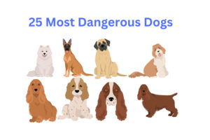 25 Most Dangerous Dogs In The World