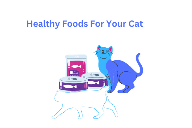 6 Best Healthy Foods For Your Cat