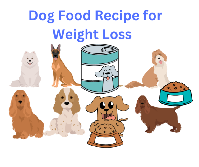 A Simple Dog Food Recipe for Weight Loss