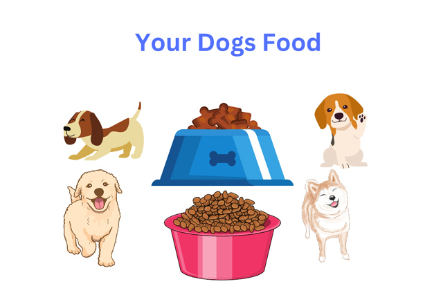 Healthy Foods Plan For Dogs Increase Nutrition