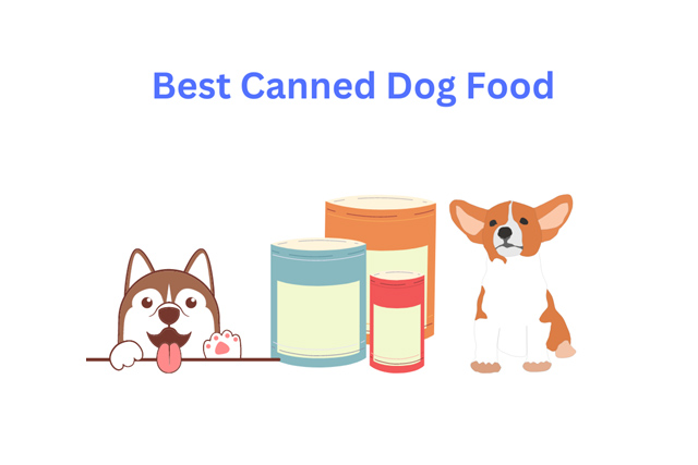 How To Make the Best Canned Dog Food