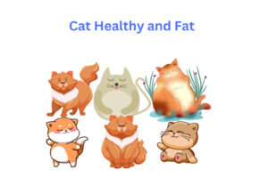 How To Make Your Cat Healthy And Fat