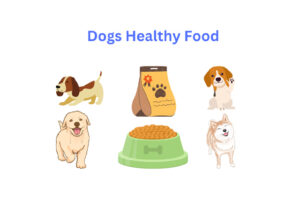   Healthy Food Ideas for Your Dog with Diet Plan