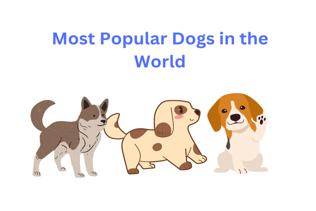 Top 10 Most Popular Dogs in the World